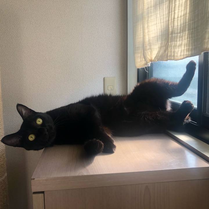 F4878210 251f 4e56 985c 9baa410c6ad4 1644675402444