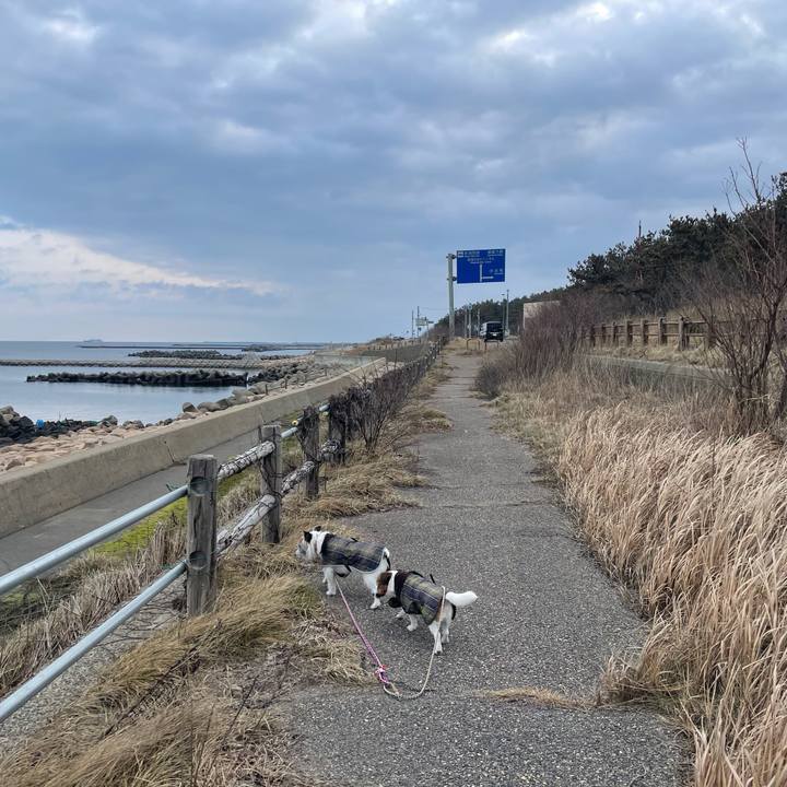 F4878b97 83d6 4946 8083 d1dc11e3292c 1740876054703