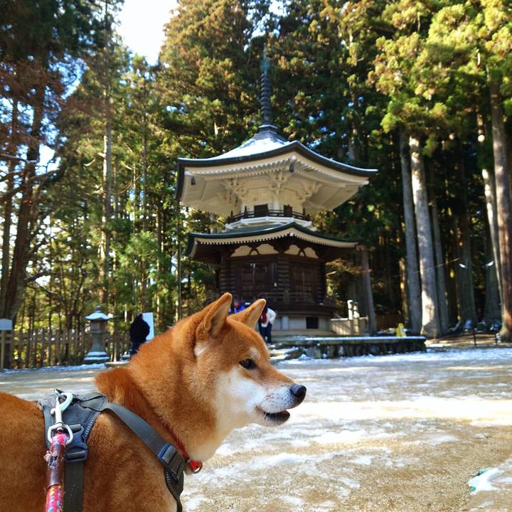 F4878f63 e242 47b7 8eb9 b3bf768ec00c 1767088415309