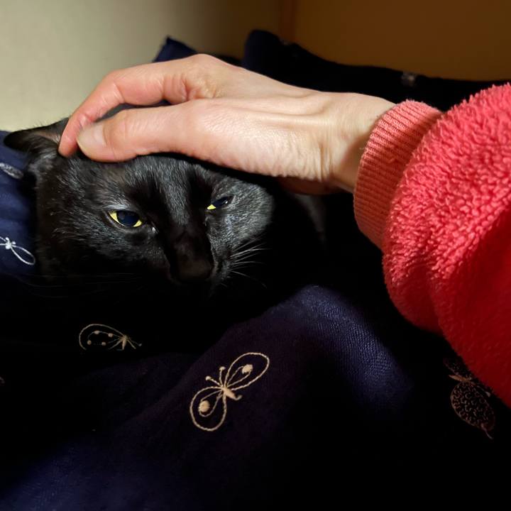 F4879eb6 73c0 4fc4 b182 1d4c7464cc87 1704978408790