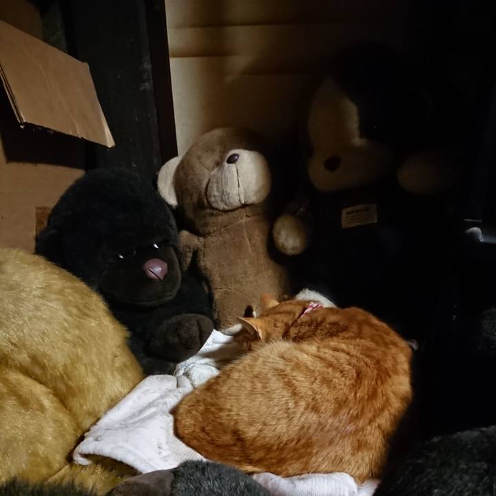 F487b8df d14c 4301 9855 ba4f3d705db2 1606303821691