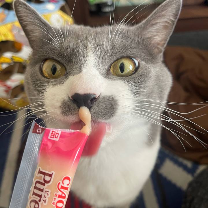 F487e466 74ef 4cd0 bd26 ed3127cd73dd 1671775169922