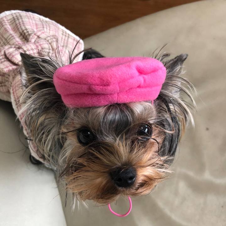 F48810cd 2c93 4637 ac01 7039a769a057 1637475730096