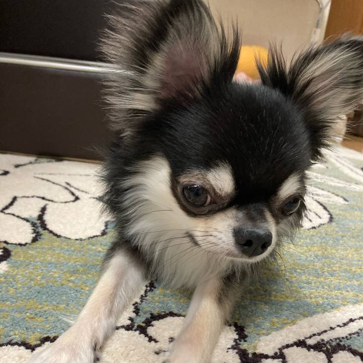 F48811d5 335b 4811 8408 1f4ad2a9474a 1624075192173