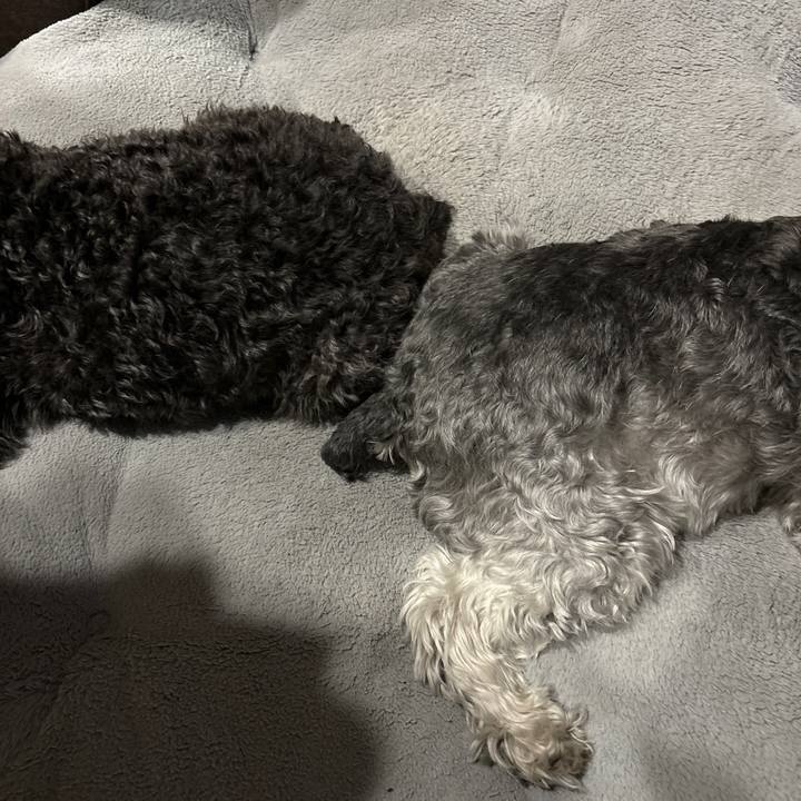 F4881cd8 ed68 4493 b5d7 98a9e05efe59 1706274911780