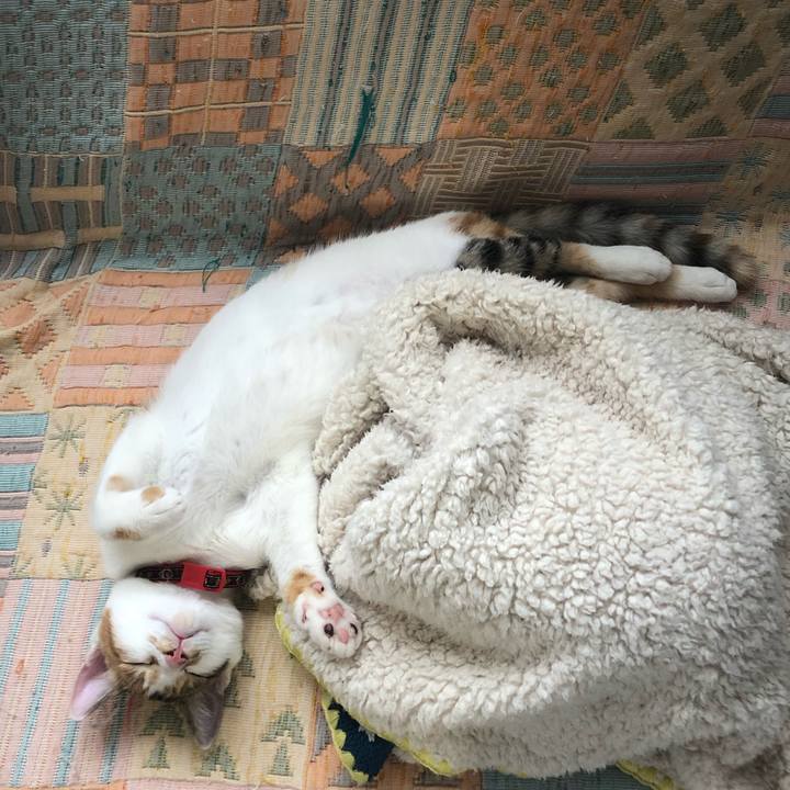 F4882529 ef2e 4ae8 b6e5 dc5841a0d1dd 1568608849324