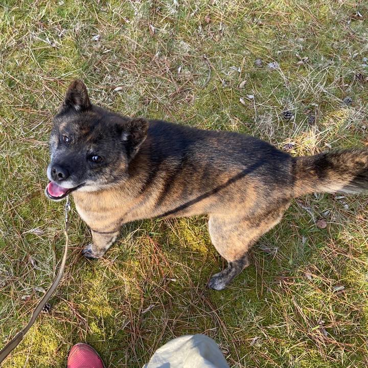 F48831ba 3b58 4959 86f5 8fcc046a1fe1 1585558894943