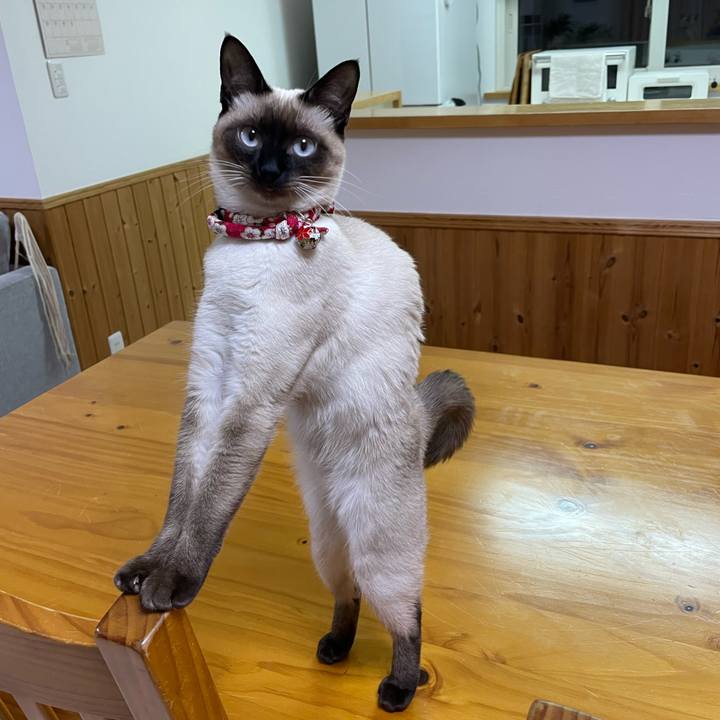 F488515c ba2d 4012 8d97 2f24e7101cf0 1705173670223