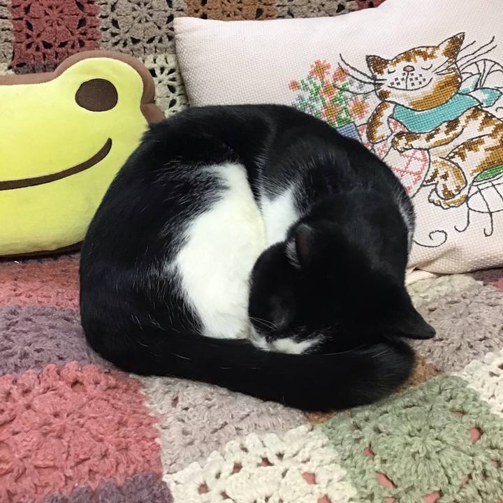 F4886298 3a71 4a0c be1d a879d00fb797 1644485735571