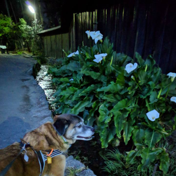 F4889b0d 341a 4aa7 b17b 1ccd1f5bf8fc 1555582467283