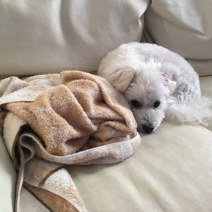 F4889b7c 3a02 4fbf ac4f 680bc864a341 1539815757694