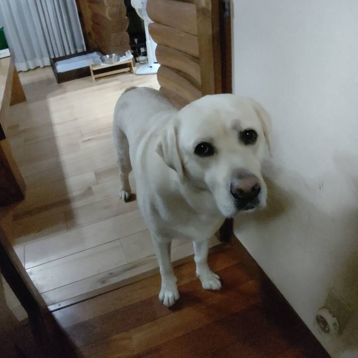 F488c106 79eb 4fd5 89c2 bec466af1da4 1593859590855