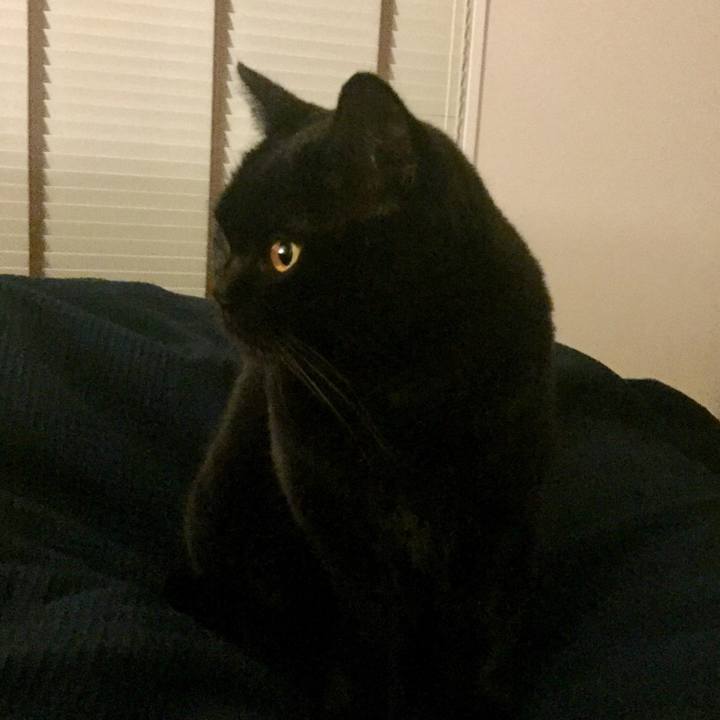 F488fd1f 6236 4265 b105 c553c36f0236 1549373813419