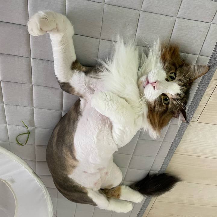 F489381d b2f1 47ff acad 99692bd8794f 1720121874110