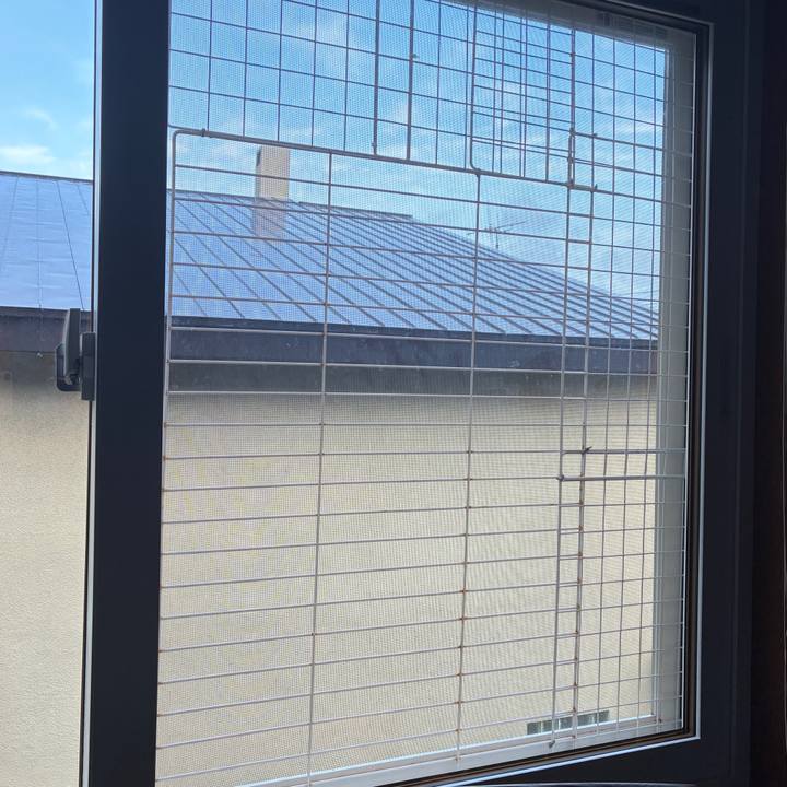 F489388e 6c3a 4e16 b392 36f488355e31 1747861618374