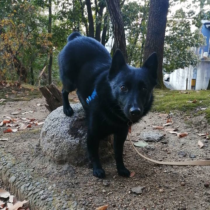 F4894c24 8943 44c6 a8dc 977f08b6ec2d 1611268775815