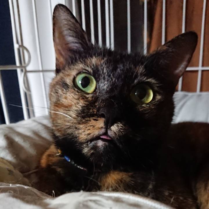 F48951f9 de8c 489d adf9 80e70b425bf1 1600733809407