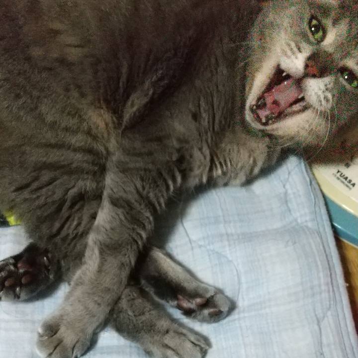 F489594a f5dc 46bd 89bb a9783ee7d1a6 1654424793548