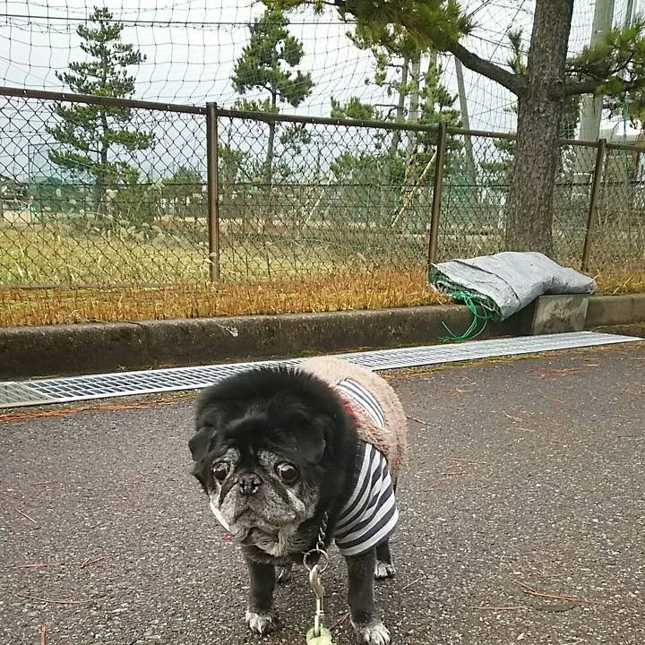 F4895c61 d358 4241 a1af 13ac876aac1d 1546318728036