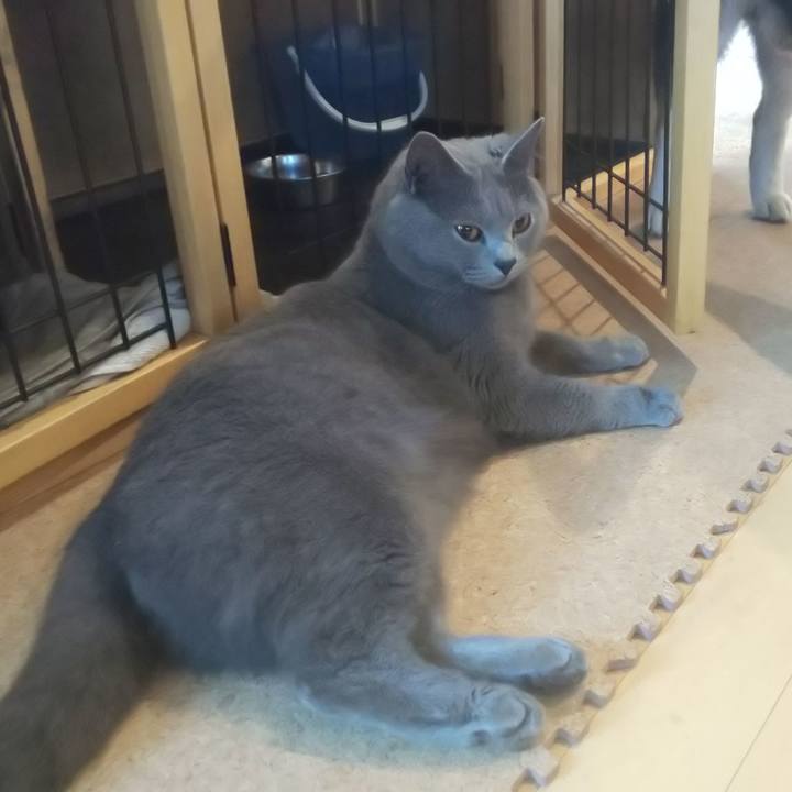 F489805c f84b 43b4 819b 80a2947755e3 1558394169722