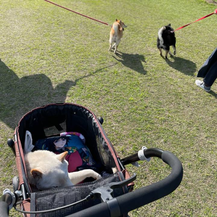 F4899e0a 56c1 45d7 aee0 1b86b69b1ecc 1648986657829