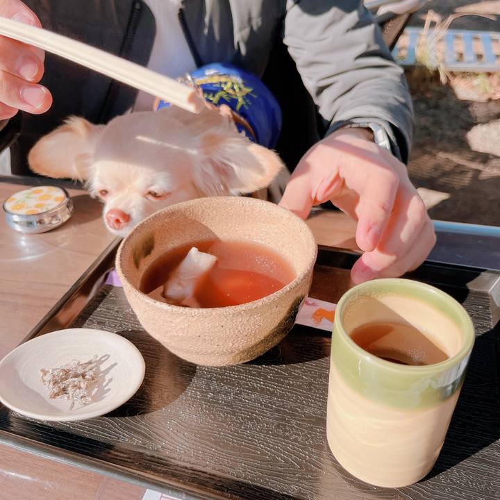 F489b653 d08d 43e8 b44e 6d7608c5fd62 1672562865479