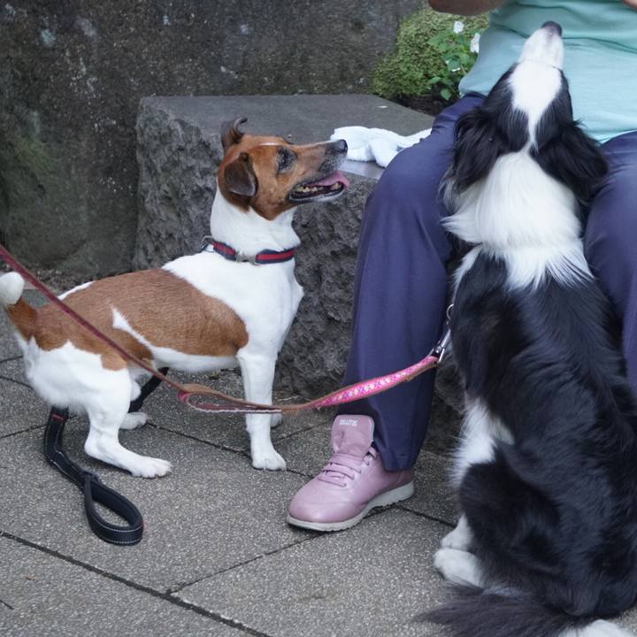 F489bb3e 0b5b 4b62 80ae 815dc7bf62a3 1533859440109