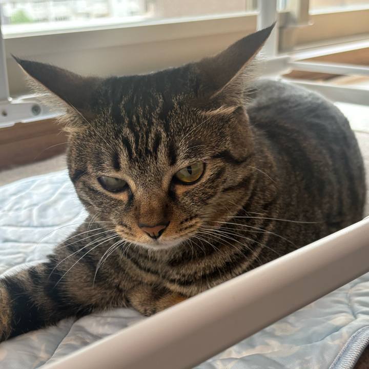 F489d19a ba69 49f3 a4fb 1c7afd0abe33 1756775016860