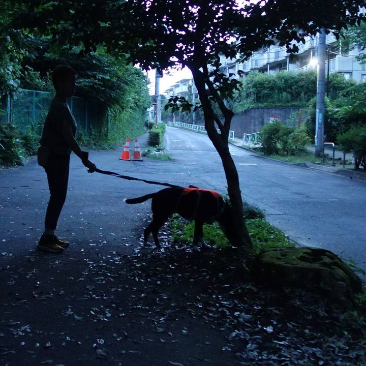 F489d6fb 7b0d 425e 9e30 a06d6a42319f 1752059166899