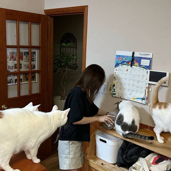 F489dbe1 11e9 4610 9a06 de3773dd34fb 1672143379642