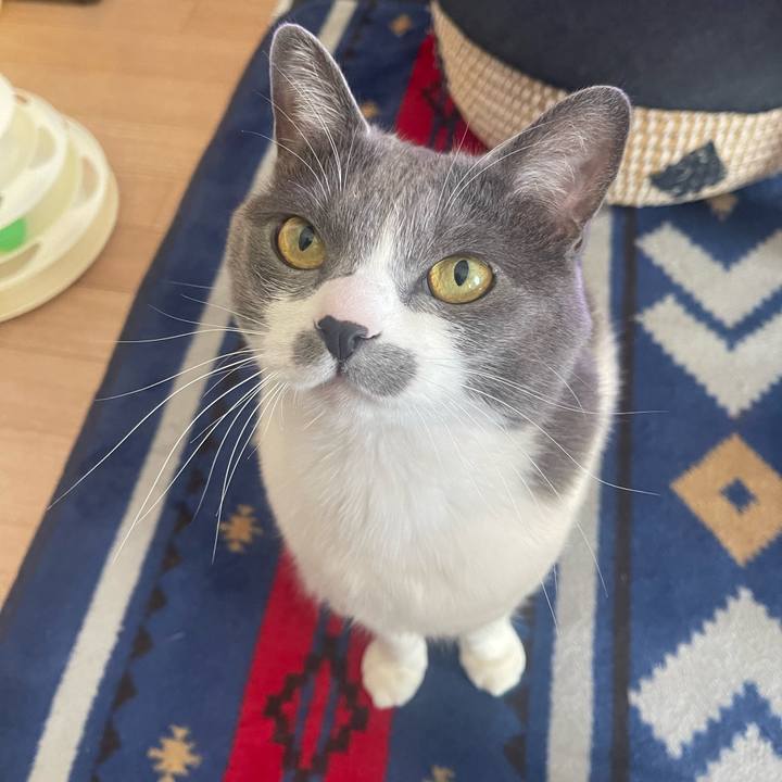 F489df2a 8151 4710 bdbe 06f0f22d4a90 1679274427406