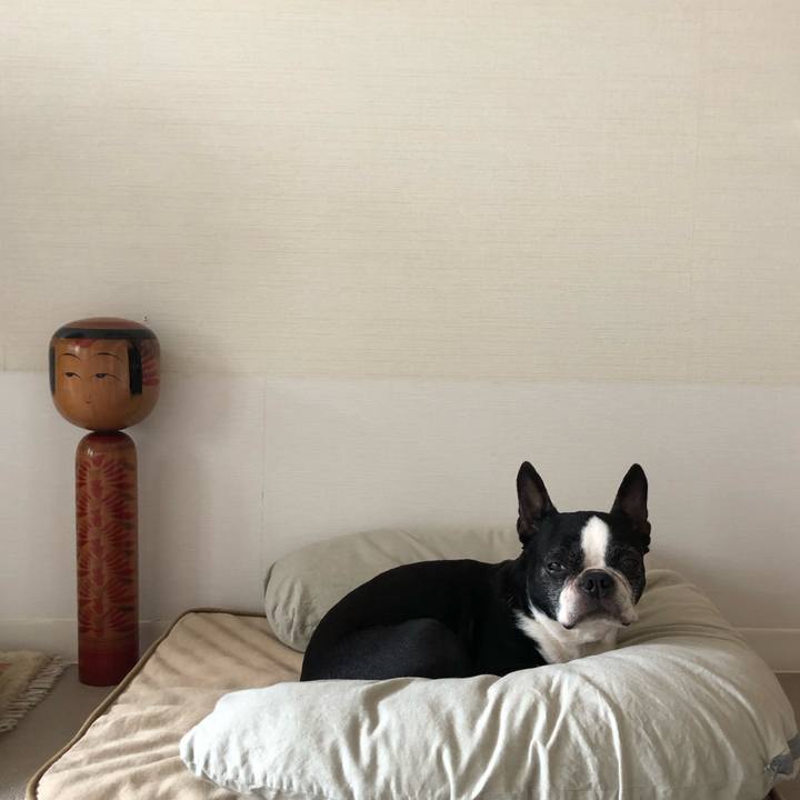 F48a0836 518c 4b64 a02f 946e9efa212e 1686274024931