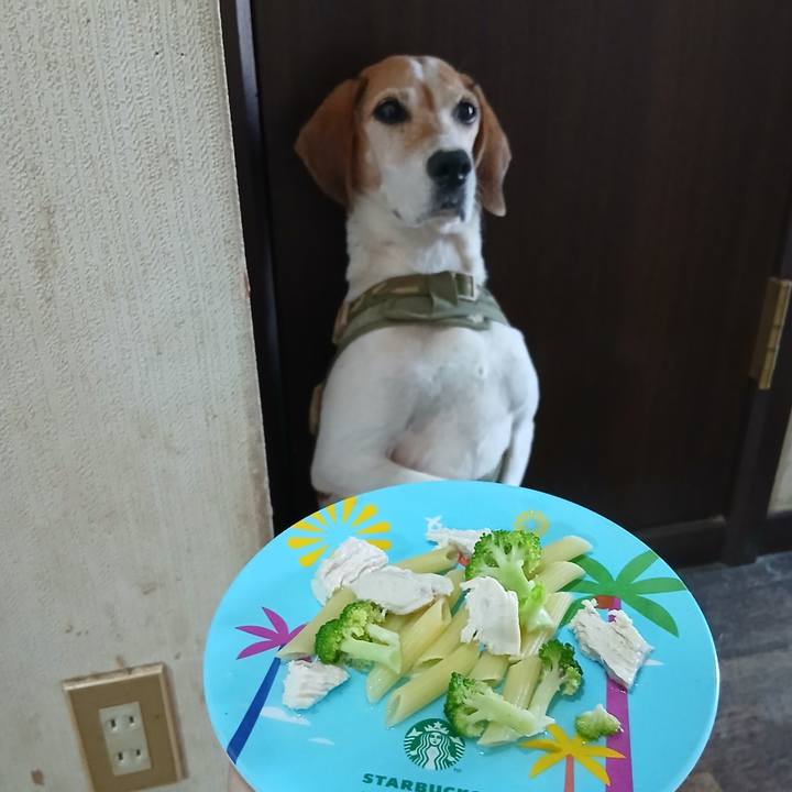 F48a0872 96e7 48bd b940 2a8bcb7a1a84 1756440560114