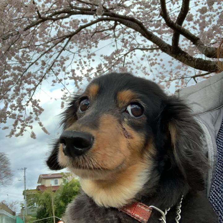 F48a0fb1 e384 4cb4 a85e 681b57814f91 1586119025255