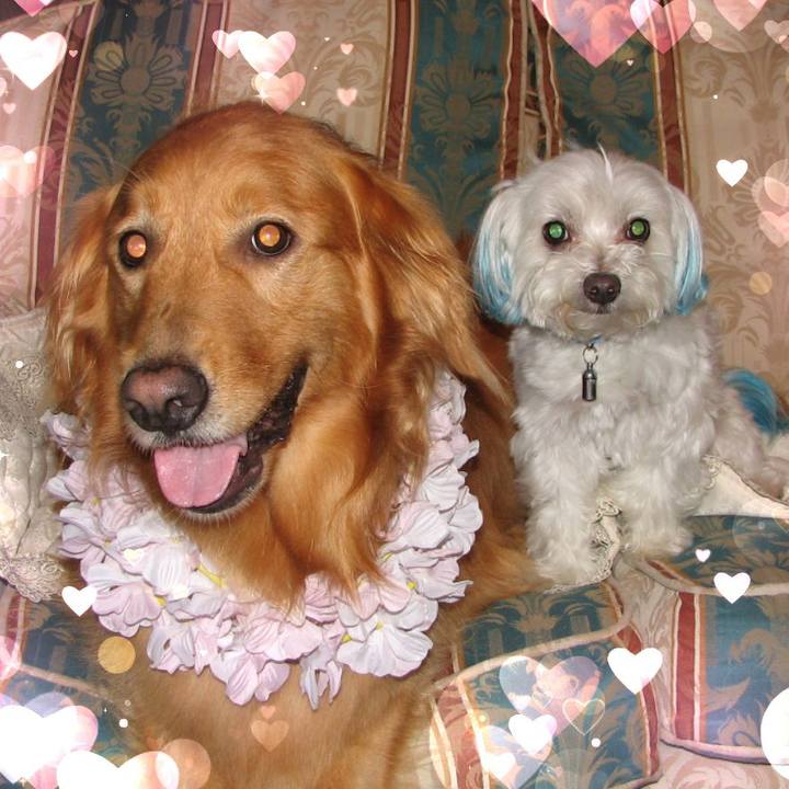 F48a3ed1 75c0 48ab 84f3 00530a2f9ffe 1529715404253