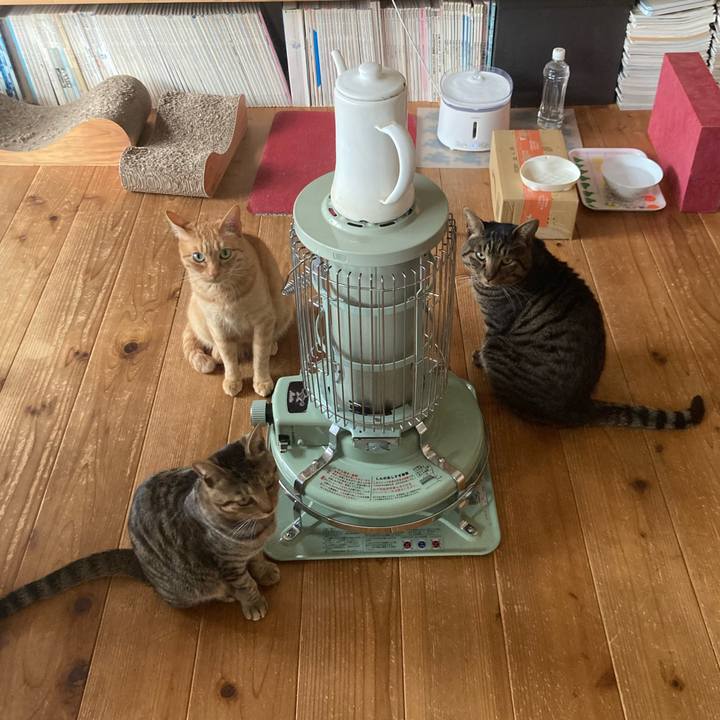 F48a430c a9a3 4fdf bd34 646e15bb3bce 1677800276923