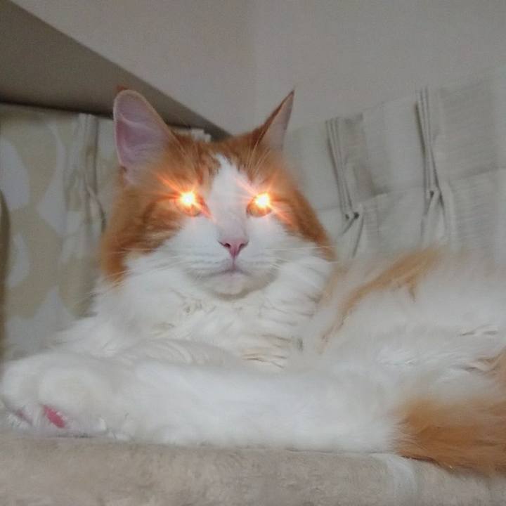 F48a4f47 0473 47b6 9be2 55095e9e76a3 1563460013849