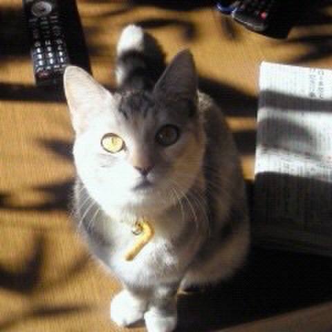 F48a7430 d8aa 45b0 bba8 bf47abfbb60b 1547134975655