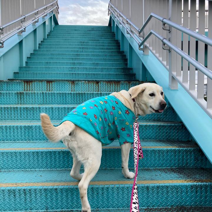 F48a7566 430b 4d77 b856 670960d5d765 1706789905984