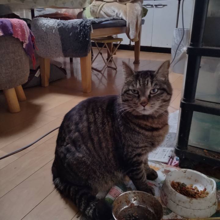 F48a8b3e 40ea 4b18 9258 edfb6de1ebb7 1680041931633