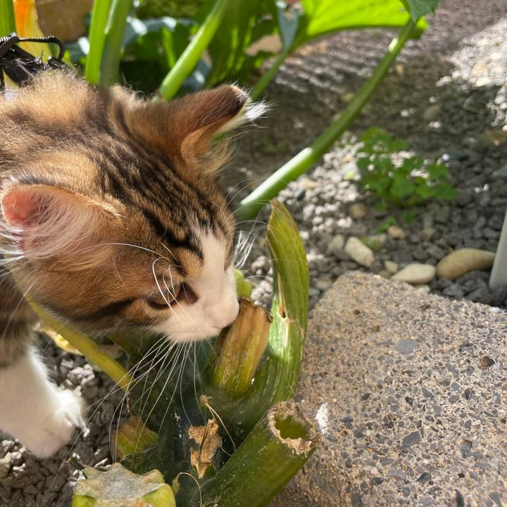 F48a8dfc b02e 43fd b77f 56b10de0ae14 1633229319881