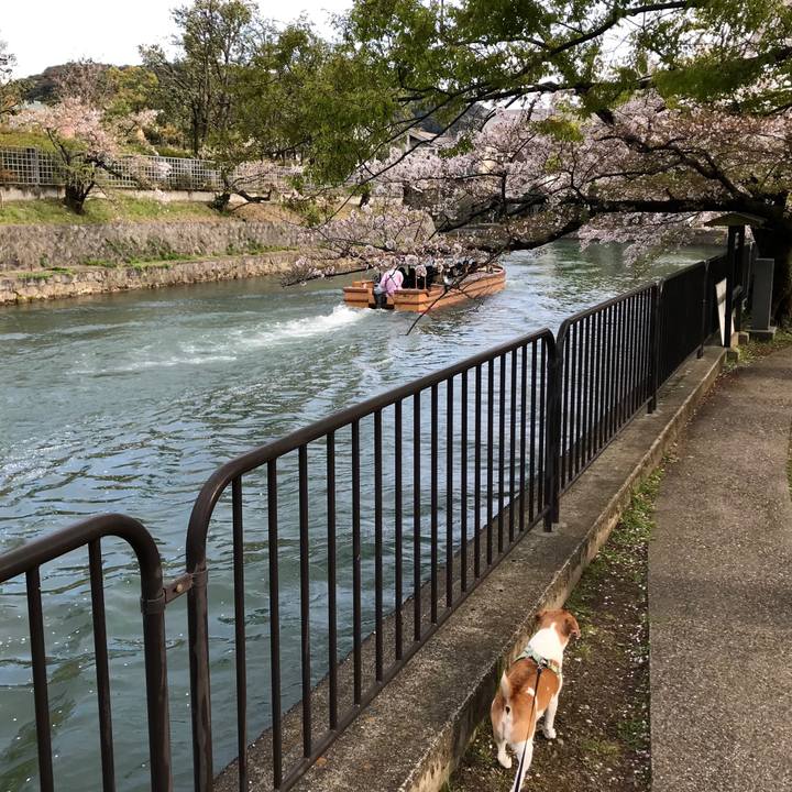 F48a91ee 32bb 4d68 b656 d417fda9e69c 1555055980886