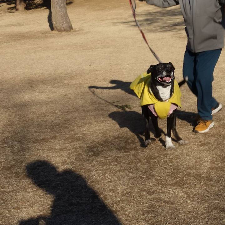 F48a9936 f8b0 46f1 ab2c f9b864a7f900 1740616606853