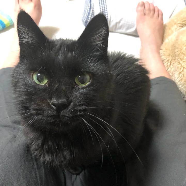 F48afb41 0237 484d 89c4 c7f51f78e32b 1606807791525