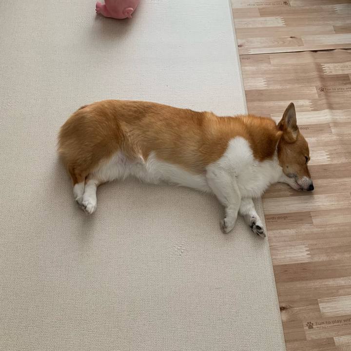 F48affd3 2814 4656 b69d f62664b24ebb 1714873415878