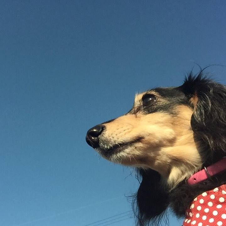 F48b42f5 1214 4d7f 9a6d 9c70be81c496 1541807550999