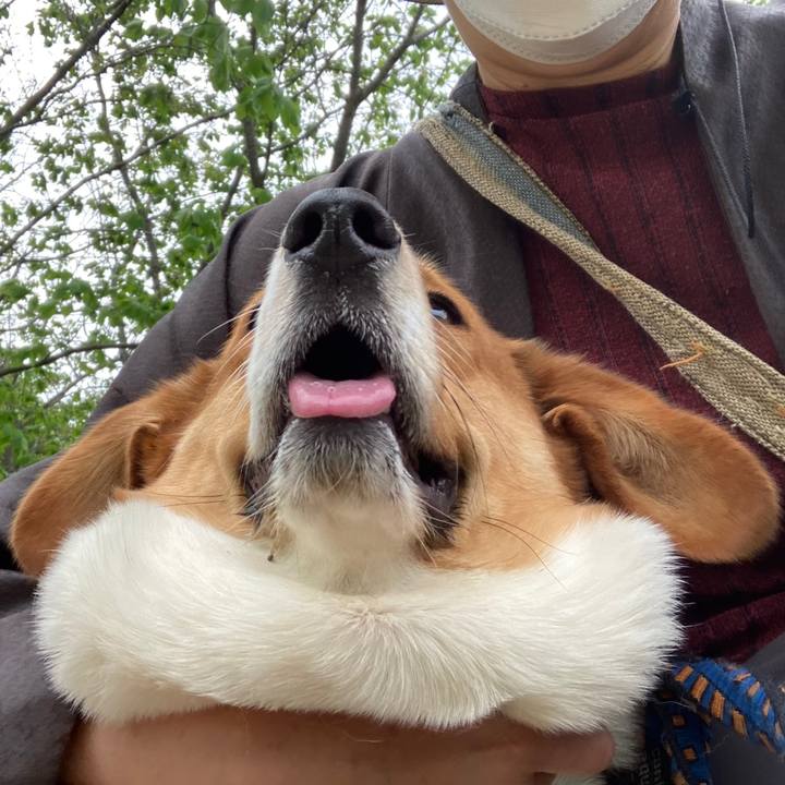 F48b5b16 be16 4d48 b92c 441dd5f9a3f7 1651108137522