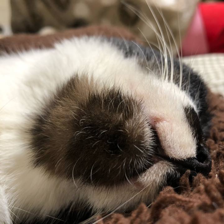 F48b771a ad0f 4b05 8572 3b26f8c02bd1 1643057949438