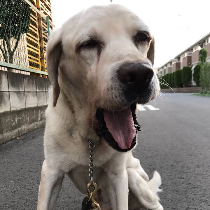 F48b7ebd 418c 41dc a780 f1b5123c93a1 1525055101156