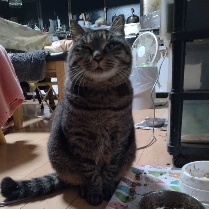 F48b8489 af2c 416a 96cf 67b68d4938f0 1670537493997